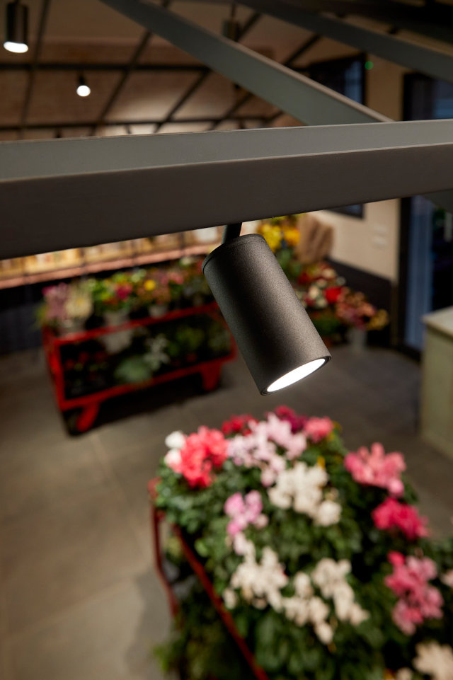 mb studio luce casa del fiore dettaglio 4